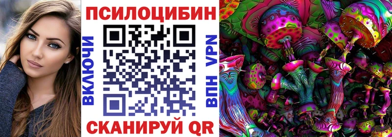 наркота Свирск Галлюциногенные грибы MAGIC MUSHROOMS